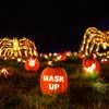 Photos: The Pandemic Can't Stop The Great Jack O' Lantern Blaze